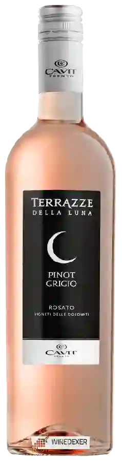 Weingut Terrazze della Luna - Pinot Grigio Rosato