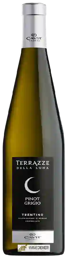 Weingut Terrazze della Luna - Pinot Grigio Weingut Terrazze della Luna - Pinot Grigio