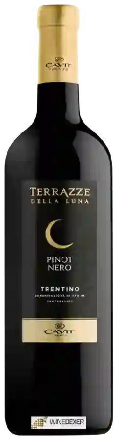 Weingut Terrazze della Luna - Pinot Nero Weingut Terrazze della Luna - Pinot Nero