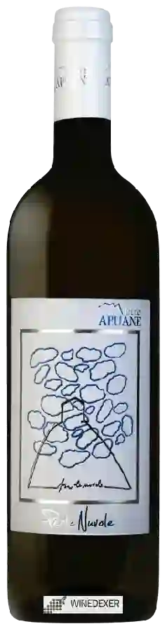 Weingut Terre Apuane - Perle Nuvole Weingut Terre Apuane - Perle Nuvole