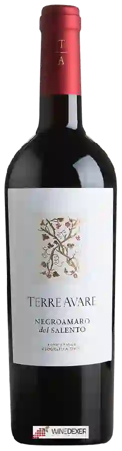 Weingut Terre Avare - Negroamaro del Salento Weingut Terre Avare - Negroamaro del Salento
