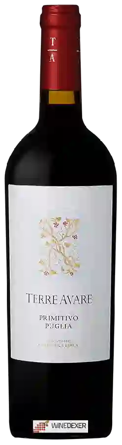 Weingut Terre Avare - Primitivo Weingut Terre Avare - Primitivo