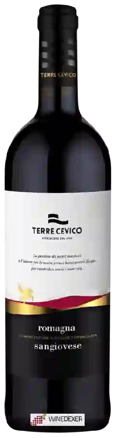 Weingut Terre Cevico - Sangiovese Romagna