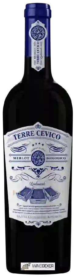 Weingut Terre Cevico - Merlot Biologico Appassite Weingut Terre Cevico - Merlot Biologico Appassite