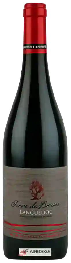 Weingut Terre de Brume - Languedoc