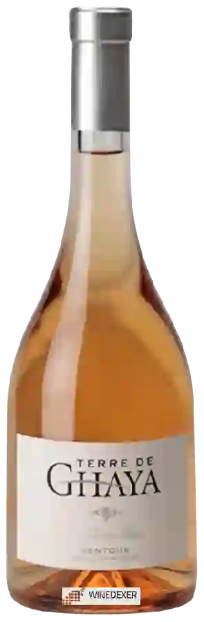 Weingut Terre de Ghaya - La Pause Rosé Weingut Terre de Ghaya - La Pause Rosé