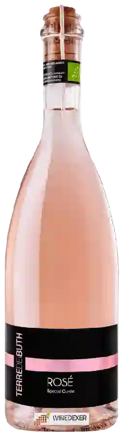 Weingut Terre dei Buth - Special Cuvée Rosé Weingut Terre dei Buth - Special Cuvée Rosé