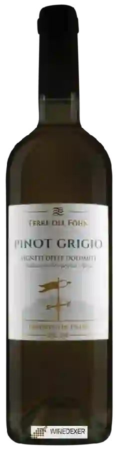Weingut Terre del Föhn - Vigneti delle Dolomiti Pinot Grigio Weingut Terre del Föhn - Vigneti delle Dolomiti Pinot Grigio