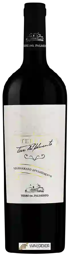 Weingut Terre del Palmento - Terras Negroamaro Appassimento
