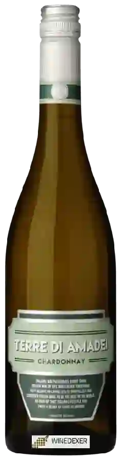 Weingut Terre di Amadei - Chardonnay