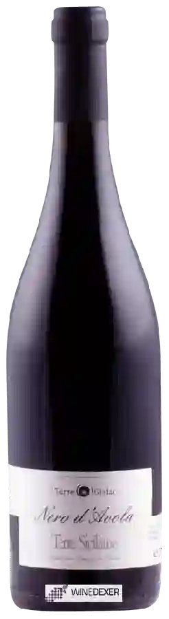 Weingut Terre di Giafar - Nero d'Avola Weingut Terre di Giafar - Nero d'Avola