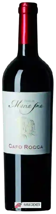 Weingut Terre di Maria Pia - Capo Rocca Weingut Terre di Maria Pia - Capo Rocca
