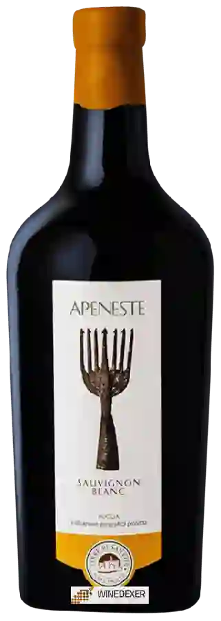 Weingut Terre di San Vito - Apeneste Sauvignon Blanc Weingut Terre di San Vito - Apeneste Sauvignon Blanc