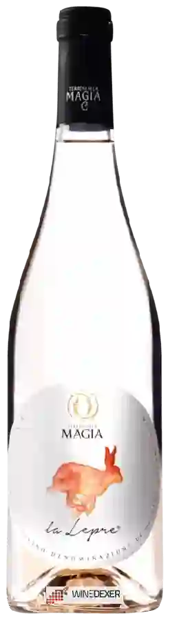 Weingut Terreni Alla Maggia - La Lepre Weingut Terreni Alla Maggia - La Lepre