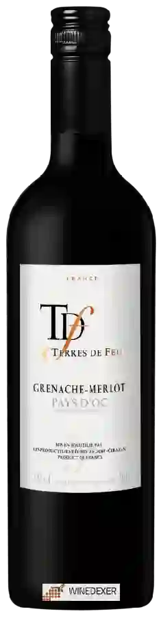 Weingut Terres de Feu - Grenache - Merlot Weingut Terres de Feu - Grenache - Merlot