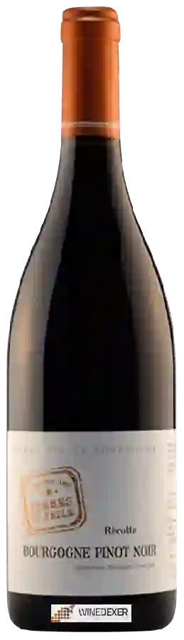Domaine des Terres de Velle - Bourgogne Pinot Noir Domaine des Terres de Velle - Bourgogne Pinot Noir