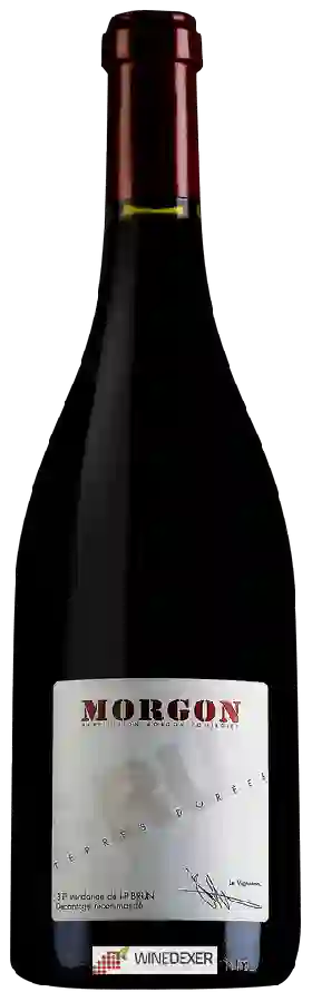 Weingut Terres Dorées - Morgon Weingut Terres Dorées - Morgon