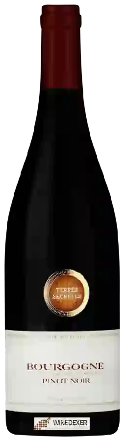 Weingut Terres Secrètes - Bourgogne Pinot Noir