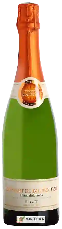 Weingut Terres Secrètes - Crémant de Bourgogne Blanc de Blancs Brut Weingut Terres Secrètes - Crémant de Bourgogne Blanc de Blancs Brut