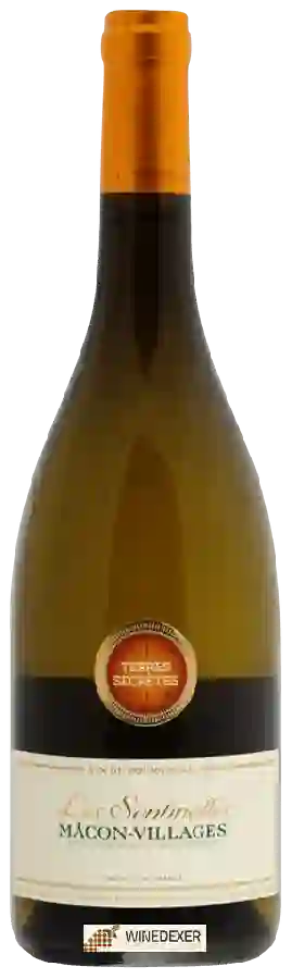 Weingut Terres Secrètes - Les Sentinelles Mâcon-Villages