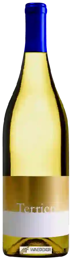 Weingut Terrien - Chardonnay Weingut Terrien - Chardonnay