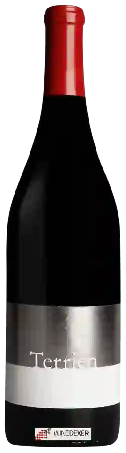 Weingut Terrien - Pinot Noir Weingut Terrien - Pinot Noir