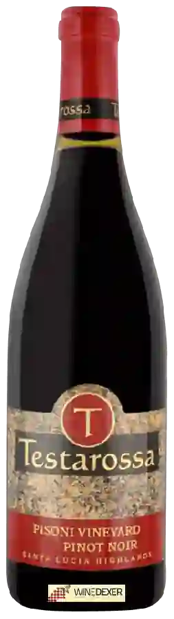 Testarossa Winery - Pisoni Vineyard Pinot Noir