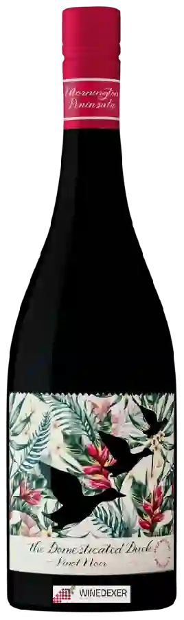 Weingut The Domesticated Duck - Pinot Noir
