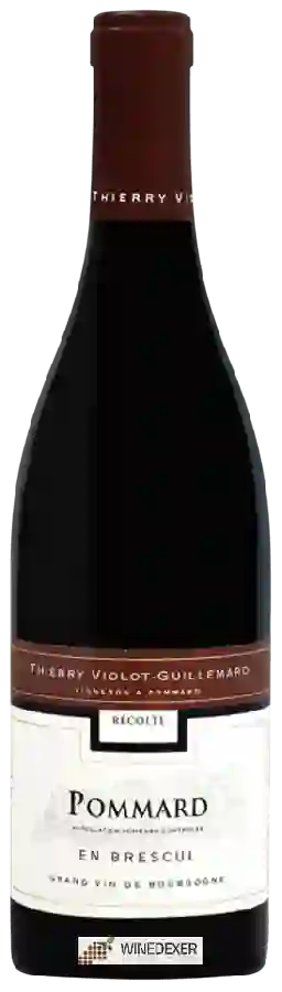 Weingut Thierry Violot-Guillemard - Pommard 'En Brescul'