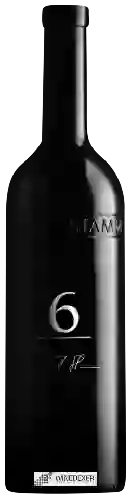 Weingut Stamm - 6 Weiss