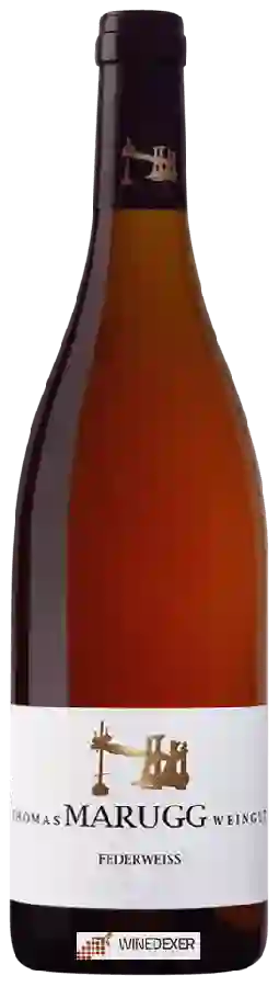 Weingut Thomas Marugg - Federweiss Weingut Thomas Marugg - Federweiss