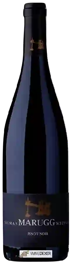 Weingut Thomas Marugg - Pinot Noir Weingut Thomas Marugg - Pinot Noir