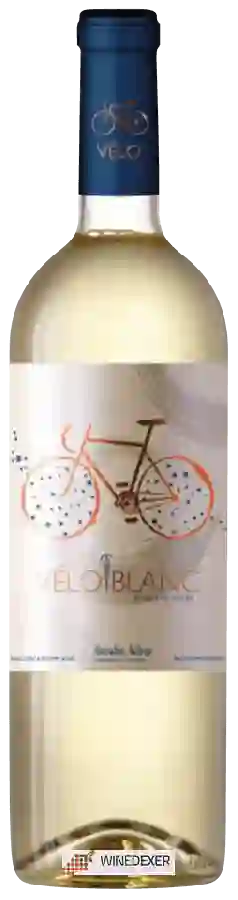 Weingut Tianna Negre - Vélo Blanc Weingut Tianna Negre - Vélo Blanc