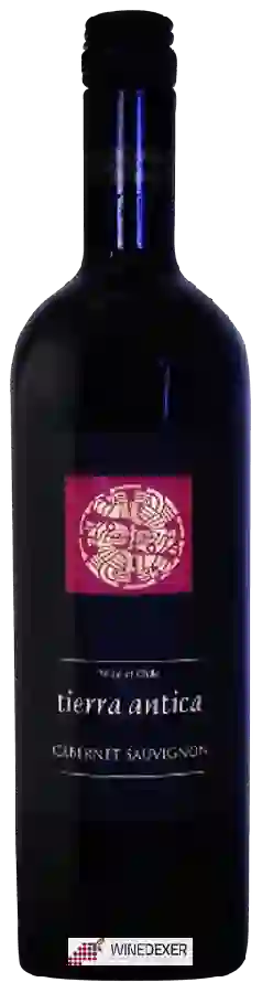 Weingut Tierra Antica - Cabernet Sauvignon Weingut Tierra Antica - Cabernet Sauvignon