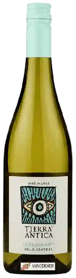 Weingut Tierra Antica - Chardonnay Weingut Tierra Antica - Chardonnay