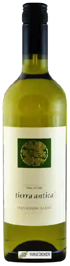 Weingut Tierra Antica - Sauvignon Blanc Weingut Tierra Antica - Sauvignon Blanc