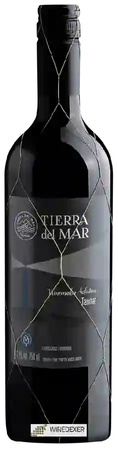 Weingut Tierra del Mar - Winemaker Selection Tannat