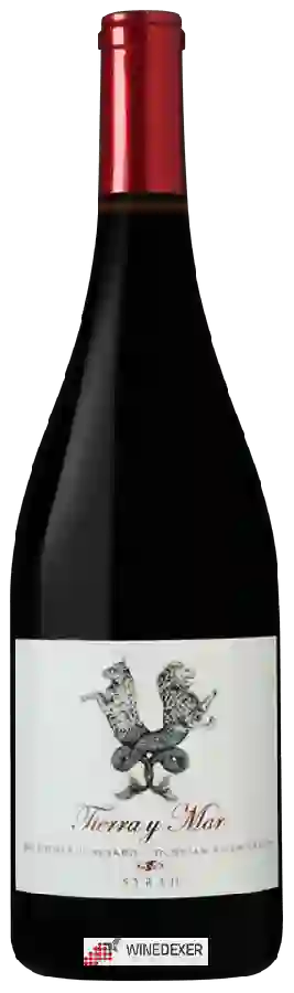 Weingut Tierra y Mar - Salzgeber Vineyard Syrah