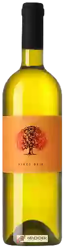 Weingut Tilia Estate - Pinot Gris