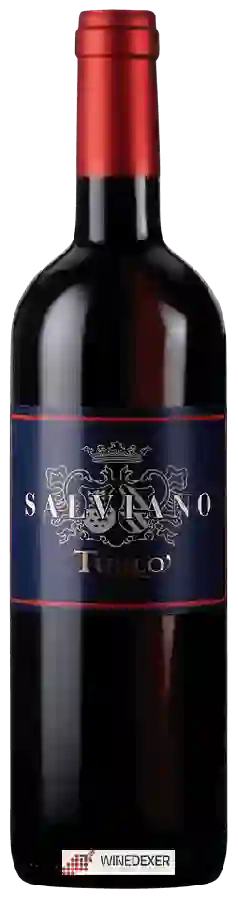 Weingut Salviano Titignano - Turlo