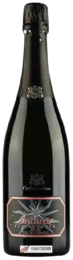 Weingut Cantina Toblino - Antares Brut Rosé