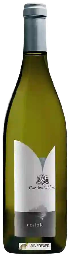 Weingut Cantina Toblino - Nosiola Weingut Cantina Toblino - Nosiola