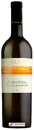 Weingut Tolloy - Gewürztraminer