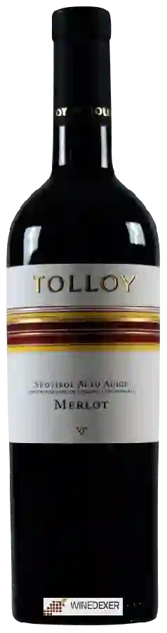 Weingut Tolloy - Merlot Weingut Tolloy - Merlot