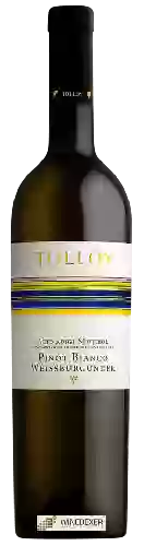 Weingut Tolloy - Pinot Bianco