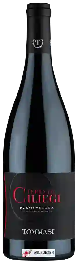Weingut Tommasi - Terra dei Ciliegi Rosso