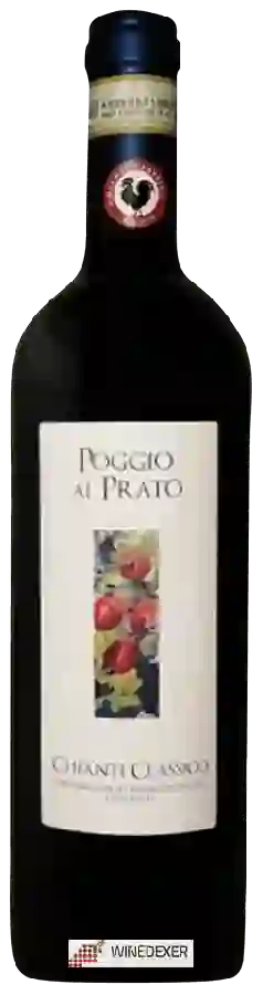 Weingut Tommaso Cei - Poggio al Prato Chianti Classico Weingut Tommaso Cei - Poggio al Prato Chianti Classico