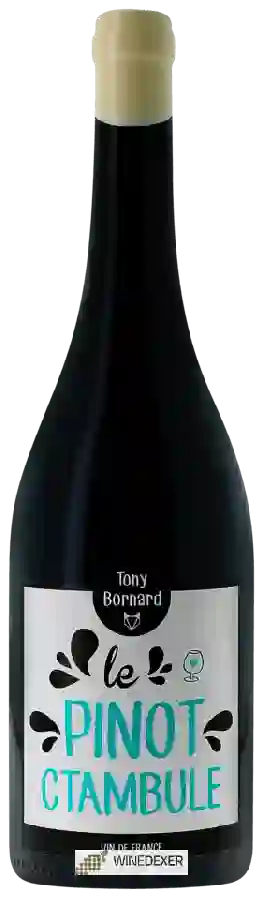 Weingut Tony Bornard - Le Pinot Ctambule Weingut Tony Bornard - Le Pinot Ctambule