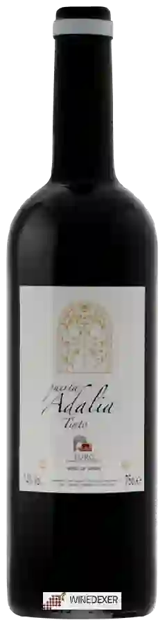 Weingut Toresanas - Puerta Adalia Tinto