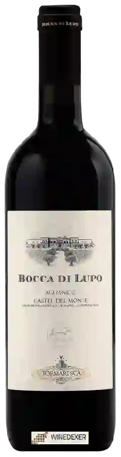 Weingut Tormaresca - Aglianico Castel del Monte Bocca di Lupo Weingut Tormaresca - Aglianico Castel del Monte Bocca di Lupo